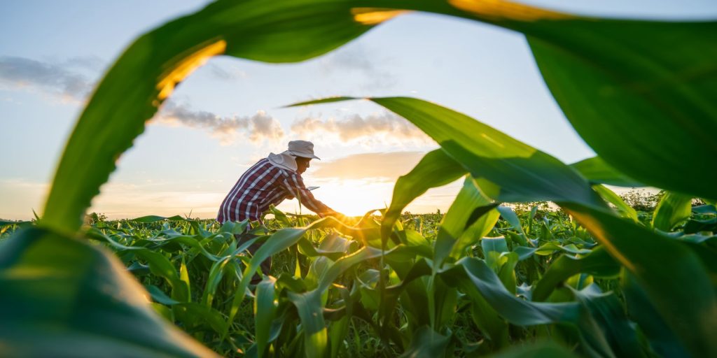 Governo finaliza MP que renegocia dívidas do agro com foco em perdas climáticas