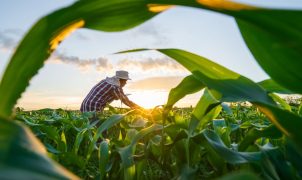 Governo finaliza MP que renegocia dívidas do agro com foco em perdas climáticas