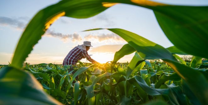 Governo finaliza MP que renegocia dívidas do agro com foco em perdas climáticas
