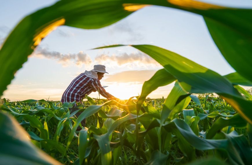 Governo finaliza MP que renegocia dívidas do agro com foco em perdas climáticas