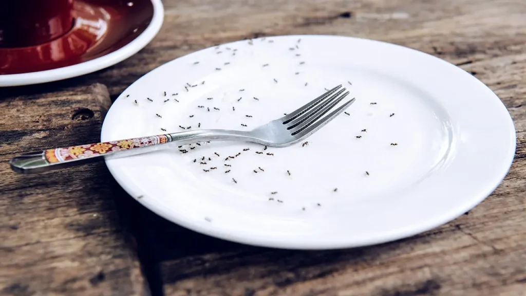 Dono de restaurante com estrela Michelin na Coreia do Sul pode pegar até um ano de prisão por servir formigas em sorvete