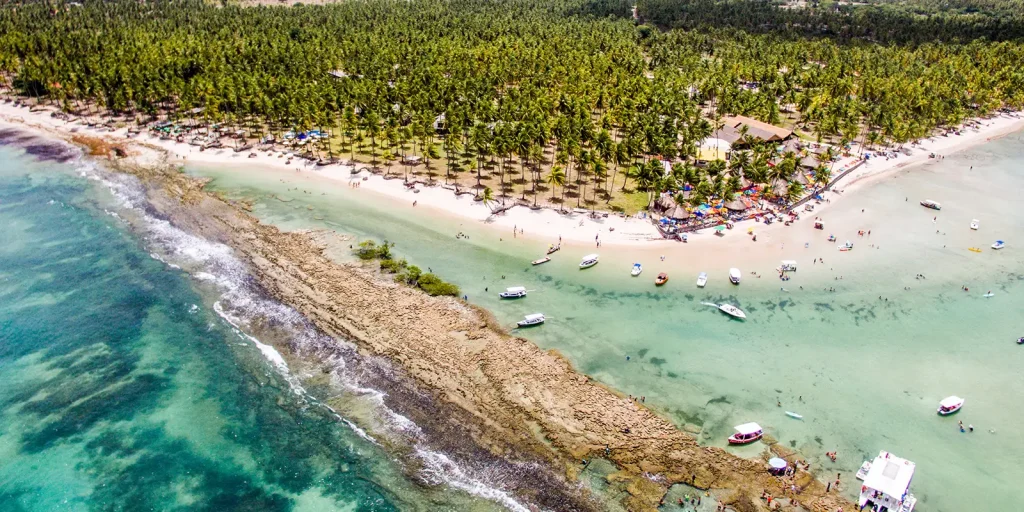 Poluição sonora de barcos e banhistas prejudica comunicação dos peixes, aponta estudo da UFPE