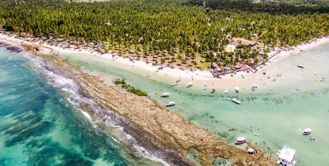Poluição sonora de barcos e banhistas prejudica comunicação dos peixes, aponta estudo da UFPE