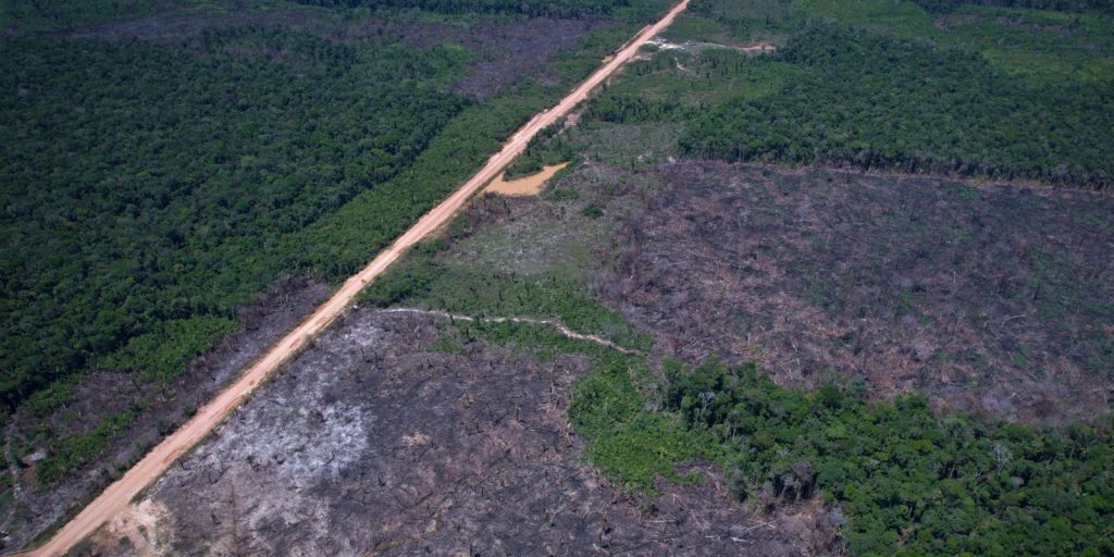 Governo publica regras do quinto leilão do Eco Invest Brasil para financiar inovação em setores estratégicos