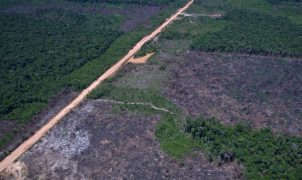 Governo publica regras do quinto leilão do Eco Invest Brasil para financiar inovação em setores estratégicos