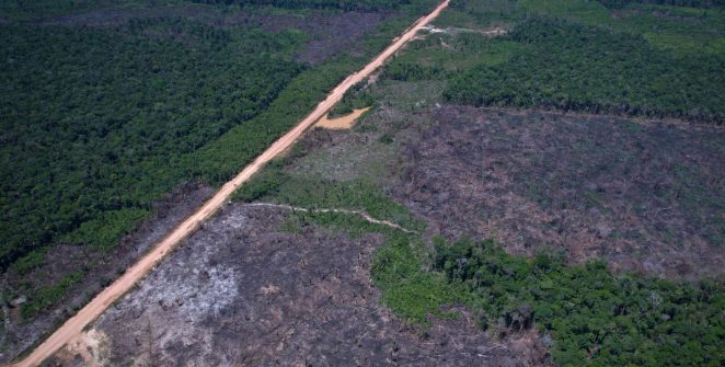 Governo publica regras do quinto leilão do Eco Invest Brasil para financiar inovação em setores estratégicos