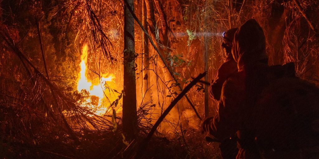 Brasil registra queda de 14% nos focos de queimadas em junho, mas risco de incêndios cresce com El Niño
