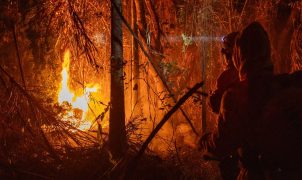 Brasil registra queda de 14% nos focos de queimadas em junho, mas risco de incêndios cresce com El Niño