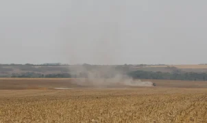 Estudo do WRI Brasil aponta caminhos para integrar rastreabilidade de soja e carne e atender exigências globais