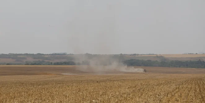Estudo do WRI Brasil aponta caminhos para integrar rastreabilidade de soja e carne e atender exigências globais