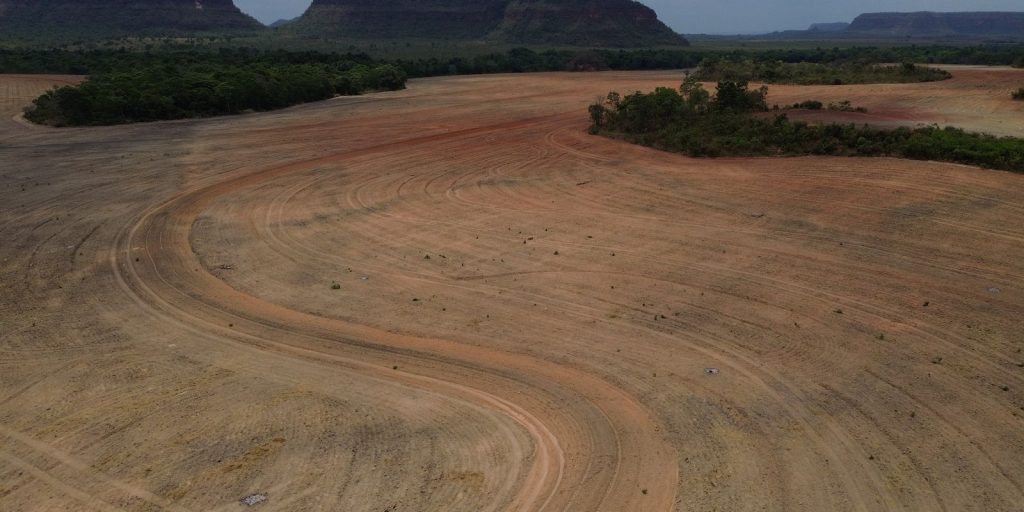 Estudo aponta que fim da Moratória da Soja pode desmatar 1,4 milhão de hectares na Amazônia em dez anos
