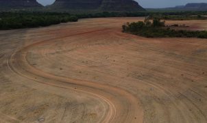 Estudo aponta que fim da Moratória da Soja pode desmatar 1,4 milhão de hectares na Amazônia em dez anos