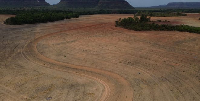 Estudo aponta que fim da Moratória da Soja pode desmatar 1,4 milhão de hectares na Amazônia em dez anos