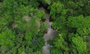 Queimadas no Brasil caem 31% em 2025, e Amazônia tem menor área queimada em 41 anos