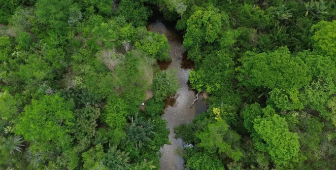 Queimadas no Brasil caem 31% em 2025, e Amazônia tem menor área queimada em 41 anos