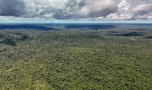 Adversária em campo, Noruega é parceria de ações ambientais do Brasil