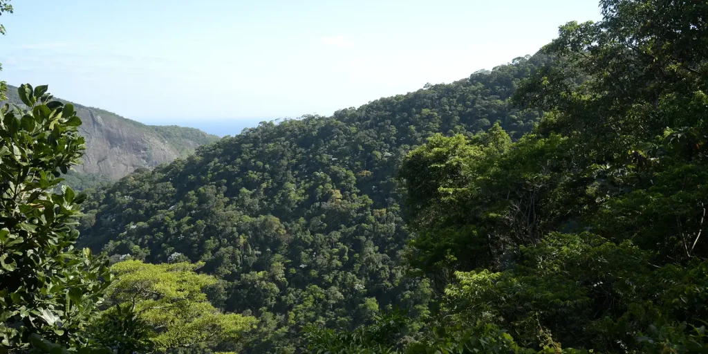 Plano de Transformação Ecológica já mobilizou mais de R$ 500 bilhões em financiamento sustentável, diz Fazenda
