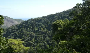 Plano de Transformação Ecológica já mobilizou mais de R$ 500 bilhões em financiamento sustentável, diz Fazenda