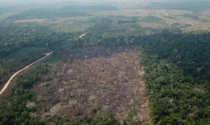 Desmatamento na Amazônia cai 35% em junho, aponta Inpe; Cerrado também registra recuo