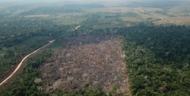 Desmatamento na Amazônia cai 35% em junho, aponta Inpe; Cerrado também registra recuo