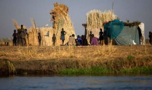 Fome global atinge 645 milhões de pessoas em 2025, aponta relatório da ONU; África concentra maior número