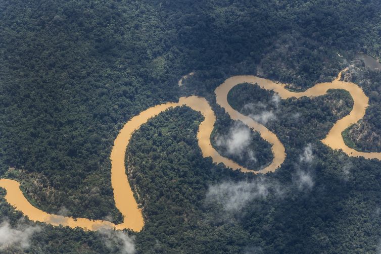 Fernando Frazão/Agência Brasil Rios contaminados têm coloração e margem afetadas pela atuação de garimpo ilegal na região do Surucucu, dentro da Terra Indígena Yanomami, Oeste de Roraima, avistados em sobrevoo da Força Aéra Brasileira para lançamendo de suprimentos. Foto: Fernando Frazão/Agência Brasil
