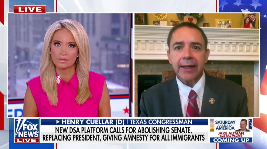 Rep Henry Cuellar rejects DSA platform, calls out