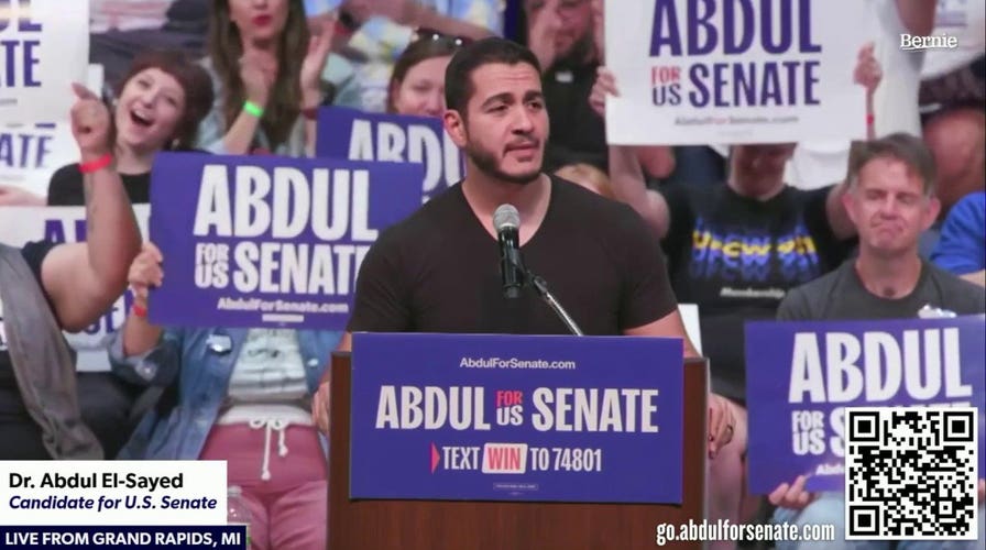 Michigan Senate hopeful declares himself