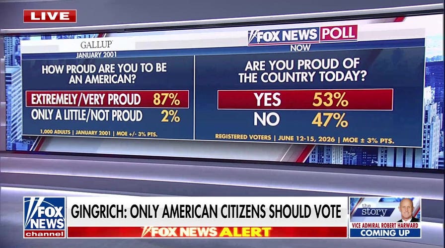 Newt Gingrich explains President Trump