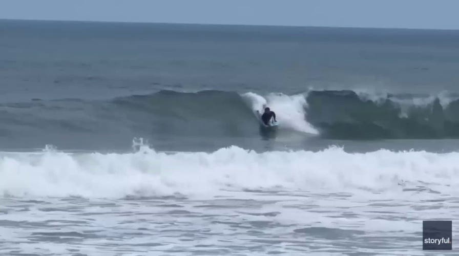 Great white shark bursts from ocean just yards from a boogie boarder