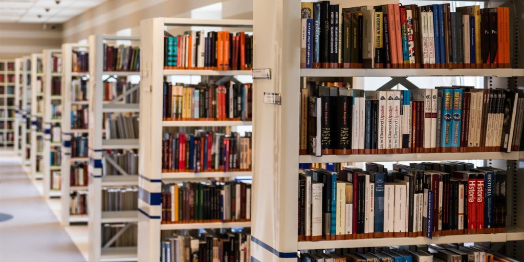 Torto arado lidera empréstimos no MEC Livros; plataforma ultrapassa 1 milhão de usuários