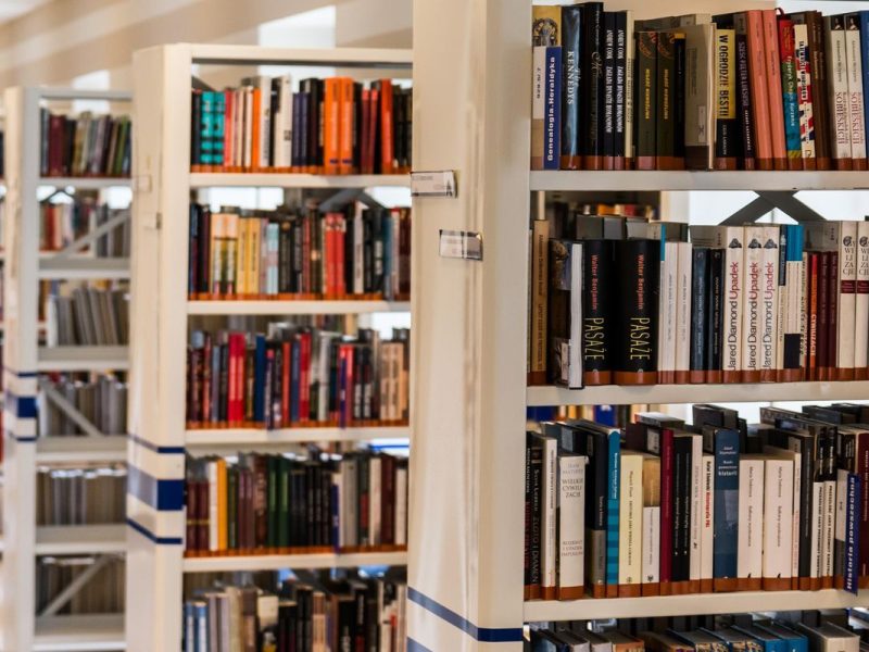 Torto arado lidera empréstimos no MEC Livros; plataforma ultrapassa 1 milhão de usuários