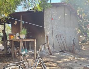 Força-tarefa resgata 89 trabalhadores em condições degradantes em fazendas de café na Zona da Mata mineira