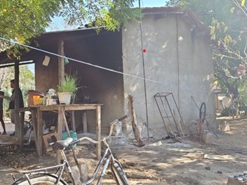 Força-tarefa resgata 89 trabalhadores em condições degradantes em fazendas de café na Zona da Mata mineira