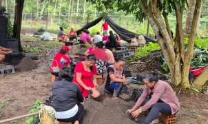 Na Amazônia, mulheres se organizam para proteger territórios e enfrentar mudanças climáticas