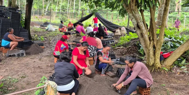 Na Amazônia, mulheres se organizam para proteger territórios e enfrentar mudanças climáticas