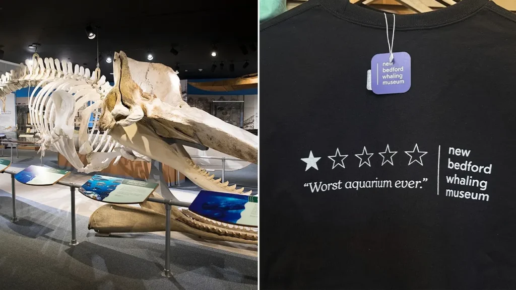 Museu transforma crítica negativa no Google em sucesso de vendas com camisetas