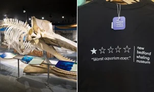 New Bedford Whaling Museum turns bad Google review into viral merchandise win