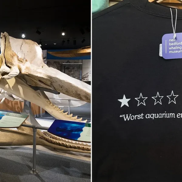 Museu transforma crítica negativa no Google em sucesso de vendas com camisetas
