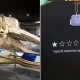 New Bedford Whaling Museum turns bad Google review into viral merchandise win