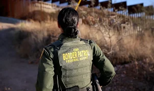 CBP seizes $10.7M cocaine hidden in cabbage at Pharr port of entry
