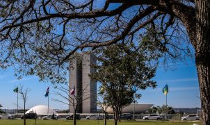 Senado aprova projeto que endurece penas para crimes sexuais digitais contra crianças e adolescentes