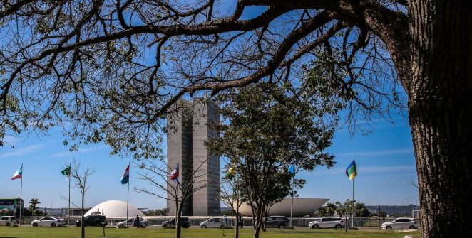 Senado aprova projeto que endurece penas para crimes sexuais digitais contra crianças e adolescentes
