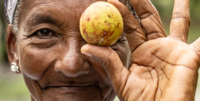 Em meio à especulação imobiliária, catadoras de mangaba lançam plano de manejo para proteger território em Aracaju