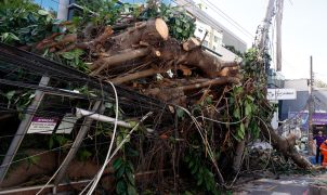 Ventania em três estados expõe falta de preparo das cidades para eventos climáticos extremos