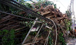 Vendaval no Rio deixa 279 mil clientes sem luz e provoca mortes; reconstrução da rede elétrica é complexa