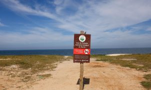 Disputa por restinga em Maricá completa quase 20 anos e opõe megaprojeto de luxo a comunidades tradicionais