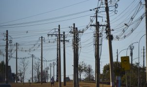 Acidentes com rede elétrica sobem para 703 em 2025, mas mortes caem, aponta Abradee