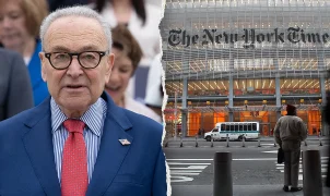 Scott accuses Schumer, New York Times of sitting on Platner story to benefit Democrats