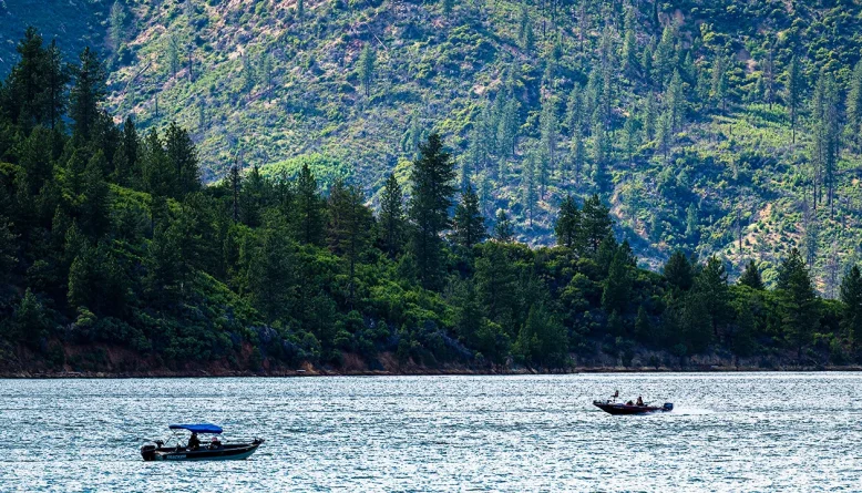 Forest service workers rescued after kidnapping in California national forest